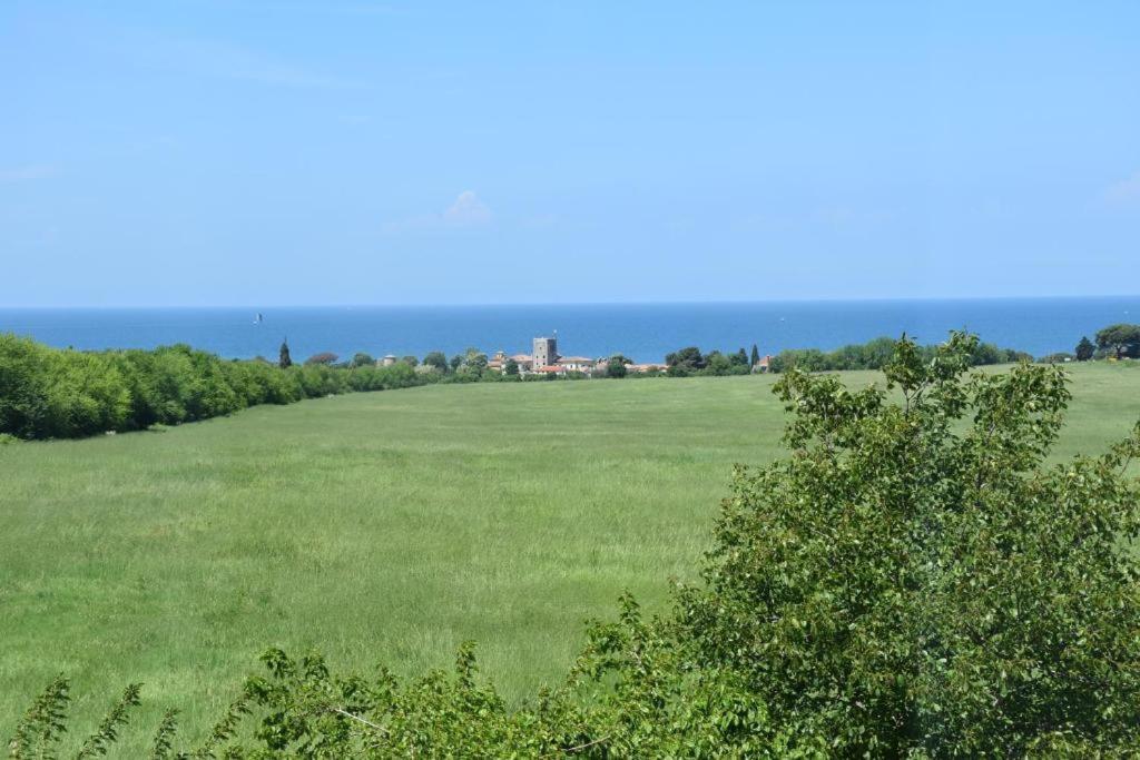 Apartmani Ritosa Novigrad Istria المظهر الخارجي الصورة